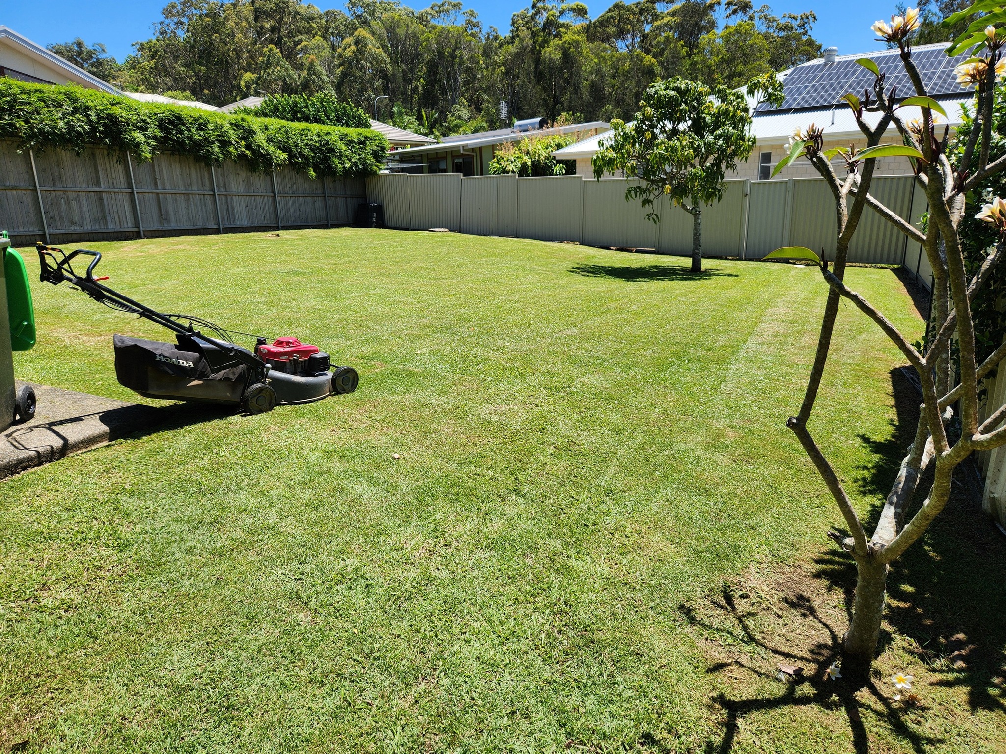Screenshot of project: Coffs Lawns & Property Maintenance